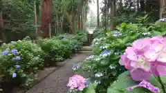 磯山神社の自然