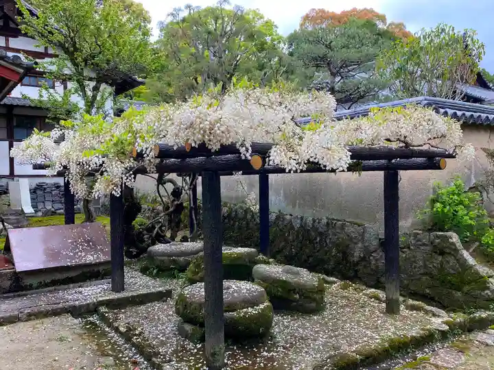 唐招提寺のその他建物