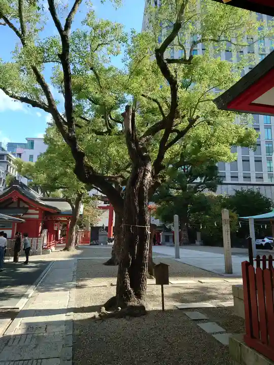 御霊神社のその他建物