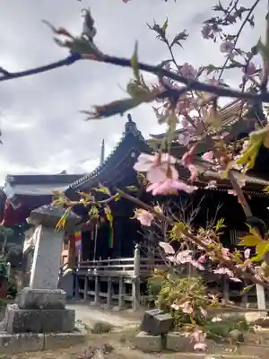 椎尾山薬王院(茨城県)