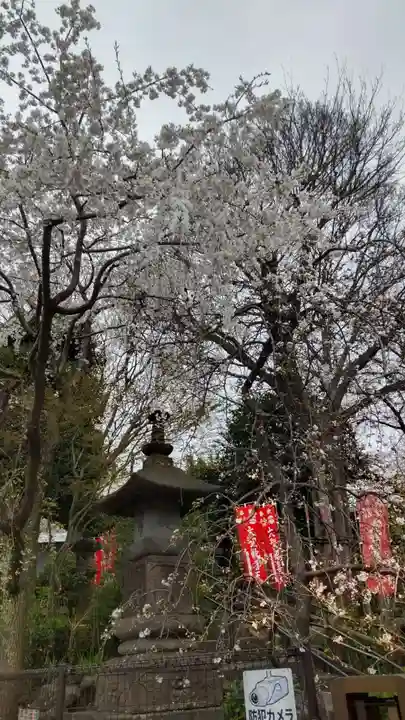 弘明寺(神奈川県)