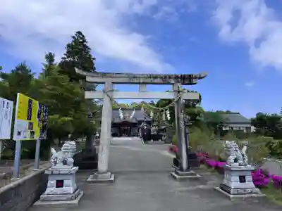 白子神社の{uncategorized: "未分類", other: "その他", undefined: "問題あり", building: "その他建物", grave: "お墓", sacred_gate: "鳥居", guardian: "狛犬", statue: "像", buddha: "仏像", history: "歴史", nature: "自然", garden: "庭園", animal: "動物", pagoda: "塔", temizu: "手水舎", mountain_gate: "山門・神門", sanctuary: "本殿・本堂", subordinate: "末社・摂社", art: "芸術", scenery: "景色", jizo: "地蔵", ema: "絵馬", goshuin: "御朱印", omikuji: "おみくじ", items: "授与品その他", amulet: "お守り", goshuincho: "御朱印帳", eats: "食事", festival: "お祭り", votive_dance: "神楽", shichigosan: "七五三参", wedding: "結婚式", experience: "体験その他", initially: "初詣", around: "周辺", anti_infection: "感染症対策"}
