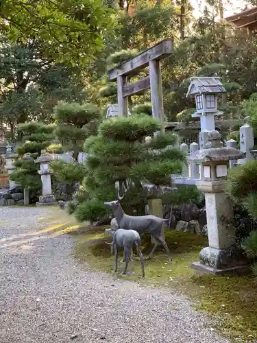 兵主大社の鳥居