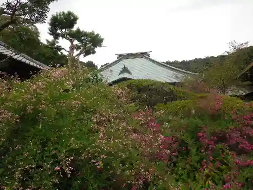 海蔵寺の景色