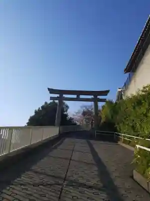 赤羽八幡神社の鳥居