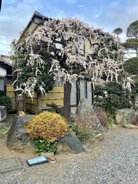 浄念寺の{uncategorized: "未分類", other: "その他", undefined: "問題あり", building: "その他建物", grave: "お墓", sacred_gate: "鳥居", guardian: "狛犬", statue: "像", buddha: "仏像", history: "歴史", nature: "自然", garden: "庭園", animal: "動物", pagoda: "塔", temizu: "手水舎", mountain_gate: "山門・神門", sanctuary: "本殿・本堂", subordinate: "末社・摂社", art: "芸術", scenery: "景色", jizo: "地蔵", ema: "絵馬", goshuin: "御朱印", omikuji: "おみくじ", items: "授与品その他", amulet: "お守り", goshuincho: "御朱印帳", eats: "食事", festival: "お祭り", votive_dance: "神楽", shichigosan: "七五三参", wedding: "結婚式", experience: "体験その他", initially: "初詣", around: "周辺", anti_infection: "感染症対策"}
