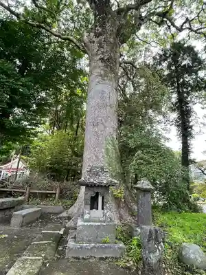 鵜戸神社の自然