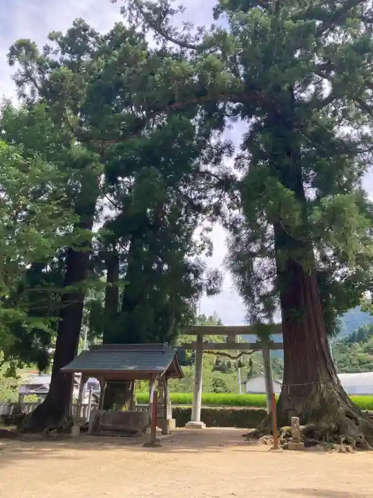 嵯峨天一神社(徳島県)