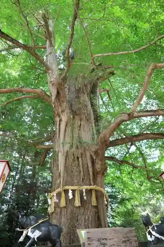 水戸八幡宮(茨城県)