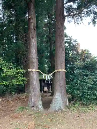 金枝白蛇大権現(栃木県)