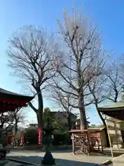 呉服神社(大阪府)