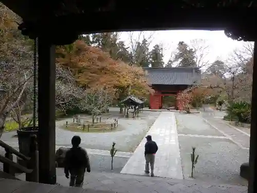 妙本寺の本殿・本堂