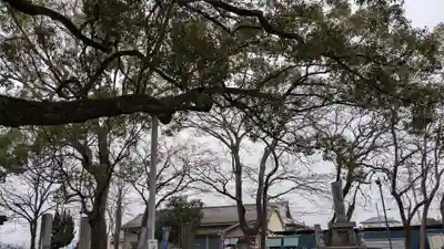 高忍日賣神社(愛媛県)