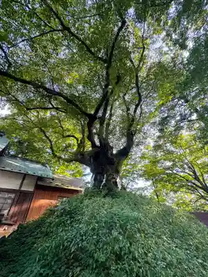 熊野皇大神社(長野県)