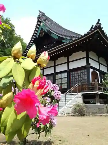 浄国寺の庭園