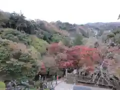 半僧坊大権現の景色