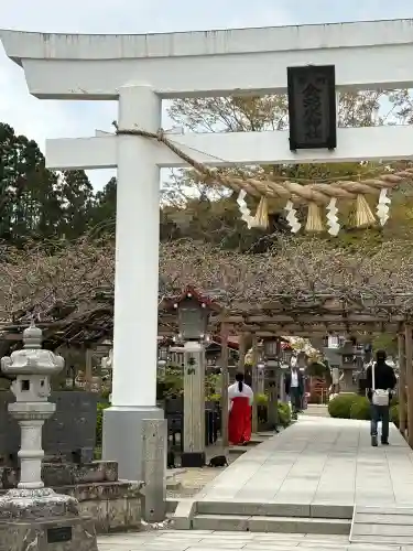 金蛇水神社の{uncategorized: "未分類", other: "その他", undefined: "問題あり", building: "その他建物", grave: "お墓", sacred_gate: "鳥居", guardian: "狛犬", statue: "像", buddha: "仏像", history: "歴史", nature: "自然", garden: "庭園", animal: "動物", pagoda: "塔", temizu: "手水舎", mountain_gate: "山門・神門", sanctuary: "本殿・本堂", subordinate: "末社・摂社", art: "芸術", scenery: "景色", jizo: "地蔵", ema: "絵馬", goshuin: "御朱印", omikuji: "おみくじ", items: "授与品その他", amulet: "お守り", goshuincho: "御朱印帳", eats: "食事", festival: "お祭り", votive_dance: "神楽", shichigosan: "七五三参", wedding: "結婚式", experience: "体験その他", initially: "初詣", around: "周辺", anti_infection: "感染症対策"}