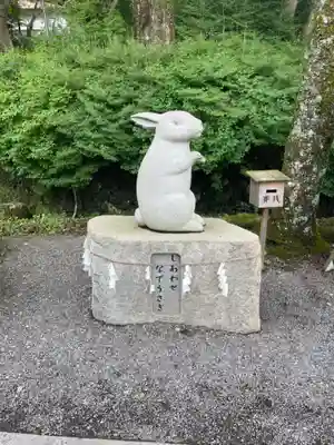 出雲大神宮の狛犬