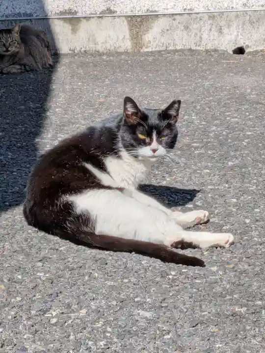 白金氷川神社(東京都)