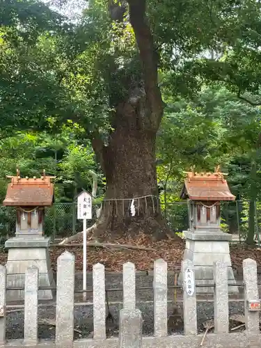 泉穴師神社の自然