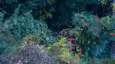 長谷山口坐神社(奈良県)