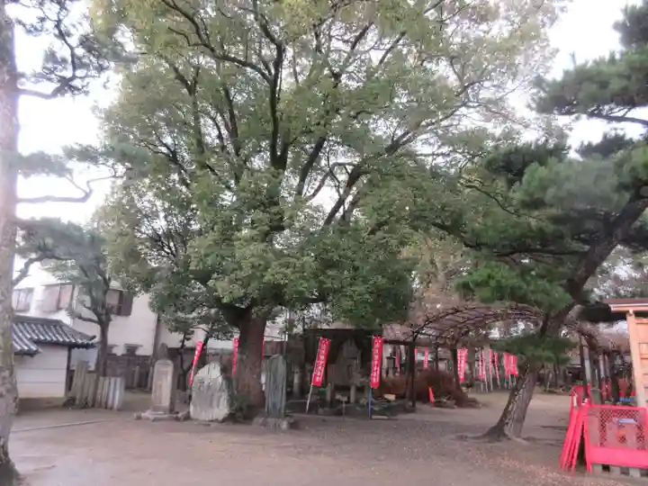 葛井寺のその他建物