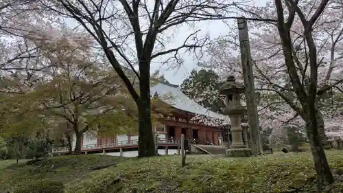 醍醐寺(京都府)