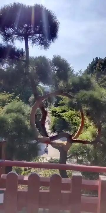 清水観音堂(東京都)