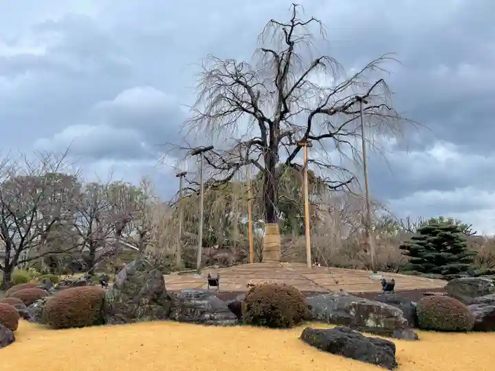 東寺(教王護国寺)(京都府)
