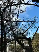 群馬県護国神社(群馬県)