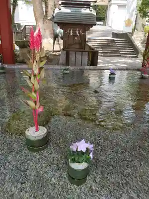 太宰府天満宮の手水舎