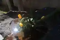 愛宕神社の手水舎