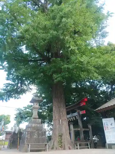 下総国三山　二宮神社(千葉県)