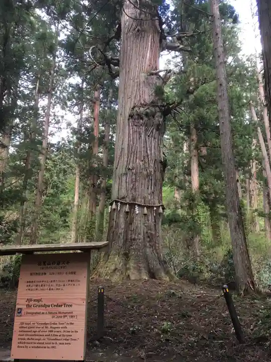 出羽神社(出羽三山神社)~三神合祭殿~の自然