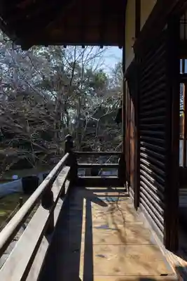 勝林寺(京都府)