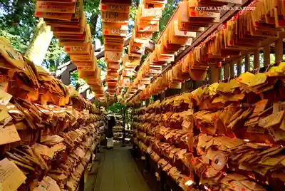 川越氷川神社(埼玉県)
