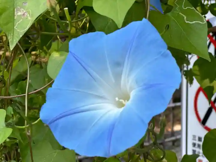 円通院(宮城県)