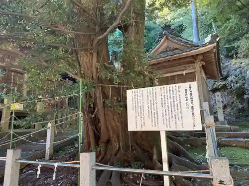 久麻久神社(愛知県)