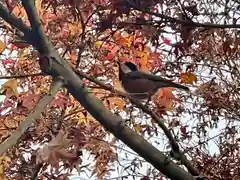 伊勢の国 四天王寺の動物