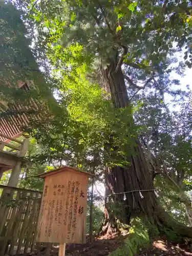 須佐神社(島根県)