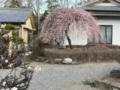 朝日森天満宮の庭園