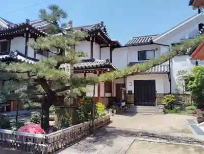 西光寺の自然