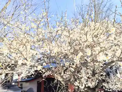 花園神社(東京都)