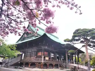 護国寺の本殿・本堂