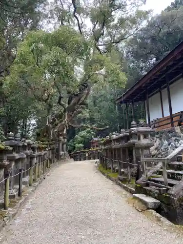 夫婦大國社（春日大社末社）(奈良県)