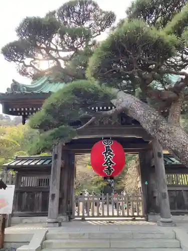 長谷寺の山門