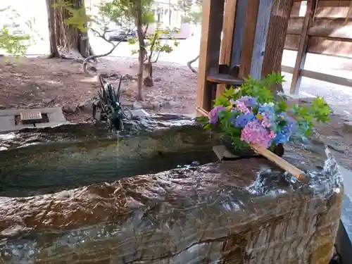 琴似神社の手水