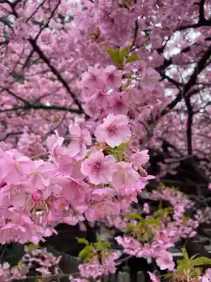 新宿下落合氷川神社(東京都)