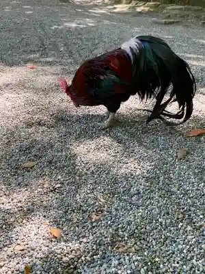 石上神宮(奈良県)