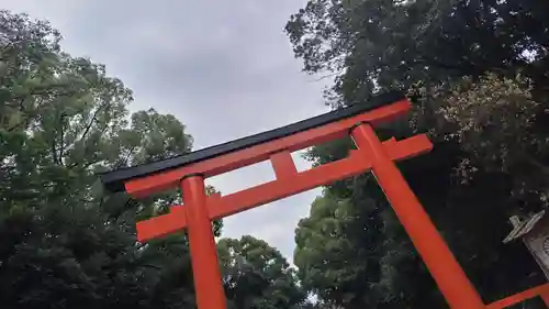 賀茂御祖神社（下鴨神社）(京都府)